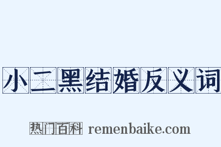 小二黑结婚反义词是什么意思的图片